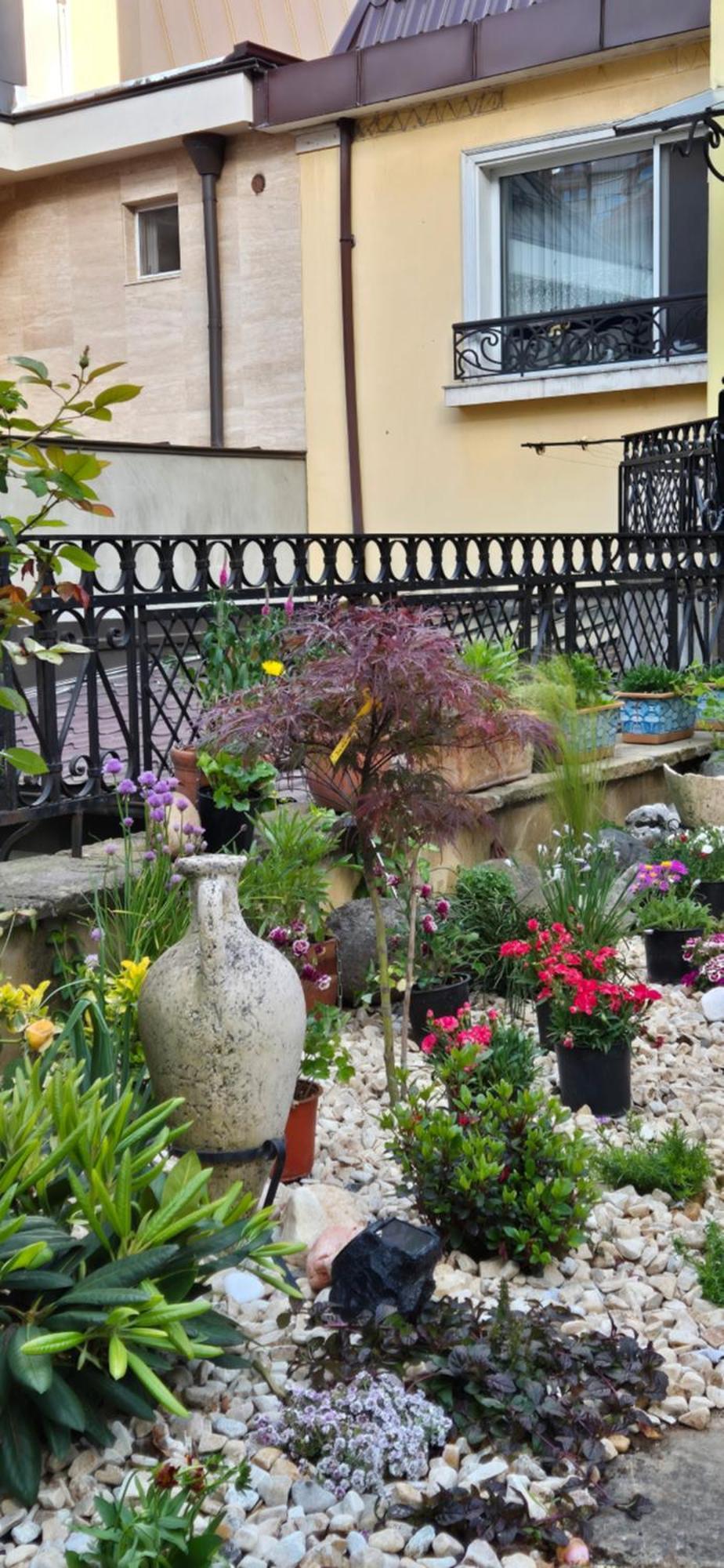 Luxury Private House In City Center Veliko Tarnovo Kamer foto